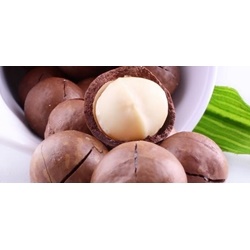 Hạt Macadamia nguyên hạt của Úc ,  gói 500g | Các loại rau, quả, củ